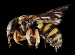 Пост обработка