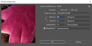 Настройки для уменьшения размера в 2 раза