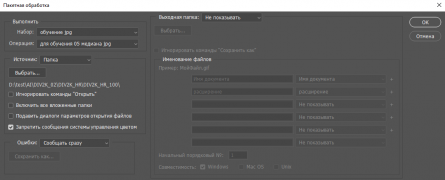 Настройки для выполнения пакетной обработки
